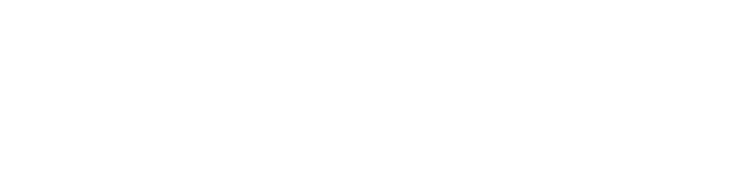 ZELDOM Development